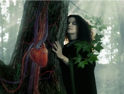 Кто такие друиды и какое вы дерево