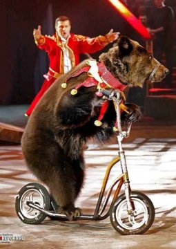 Львы в садах Ривенделла | Цирк