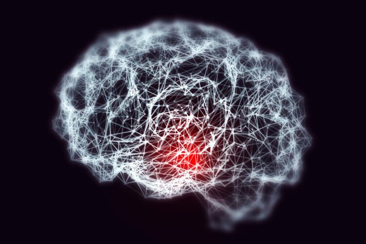 Может ли вирус герпеса вызвать болезнь Альцгеймера?