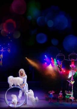 ЦИРК | Парад дрессуры и экзотики