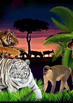 ДЖУНГЛИ | Цирк