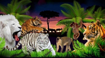 ДЖУНГЛИ | Цирк