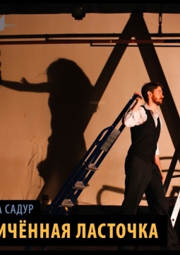 Уличённая ласточка