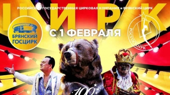 Звезды мирового цирка