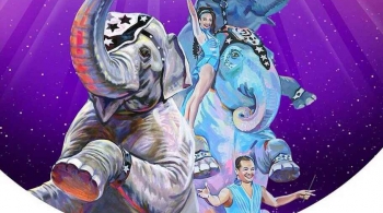 Планета слонов. Международное шоу | ЦИРК