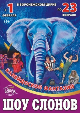 Шоу слонов | Большой Варшавский цирк