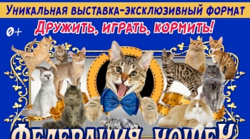 Выставка кошек