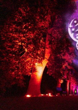 Оживший парк