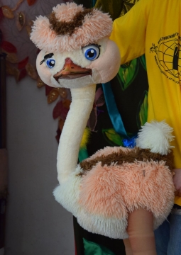 Страусёнок