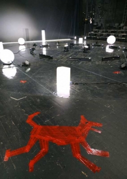 Загадочное ночное убийство собаки