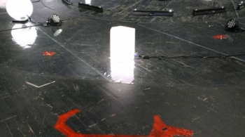 Загадочное ночное убийство собаки