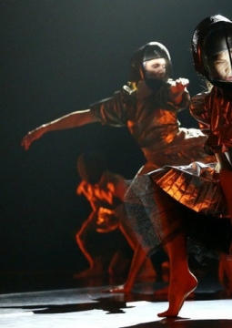 Имаго-ловушка