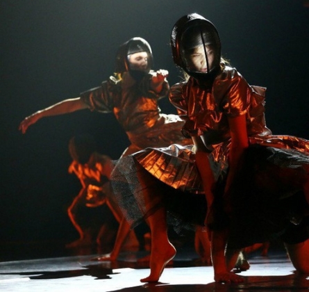 Имаго-ловушка