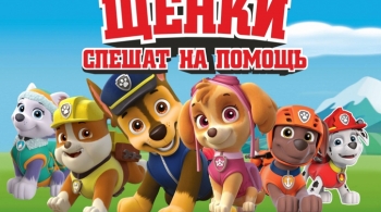 Щенки спешат на помощь