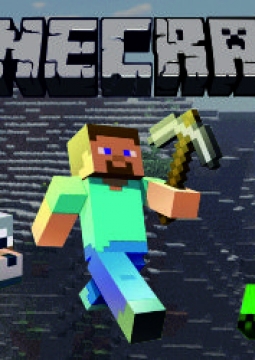 MINECRAFT шоу