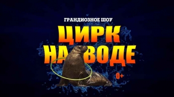 Цирк на воде | AQUA SHOW
