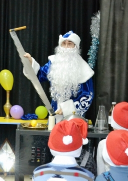 Научная елка | Загадки Деда Мороза