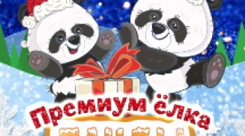 Панда в поисках снега