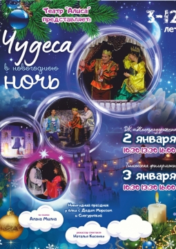 Чудеса в Новогоднюю ночь
