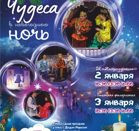 Чудеса в Новогоднюю ночь