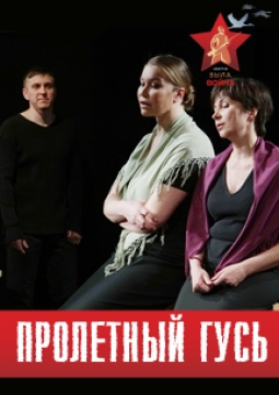 Пролетный гусь