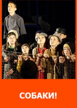 Собаки!