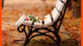 Осенняя история