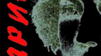 Марина | спектакль