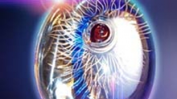 Волшебный мир стекла