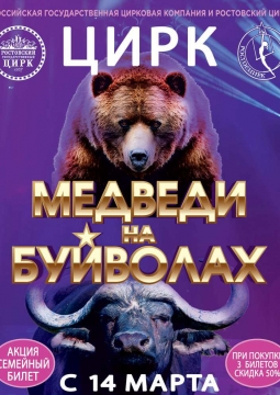 Медведи на буйволах | Цирк