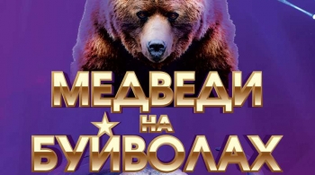 Медведи на буйволах | Цирк