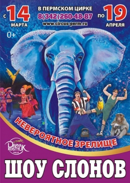 Шоу слонов | Большой Варшавский цирк