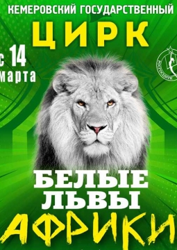 Цирк | Белые львы
