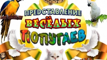 Представление Веселых Попугаев
