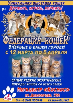 Выставка кошек