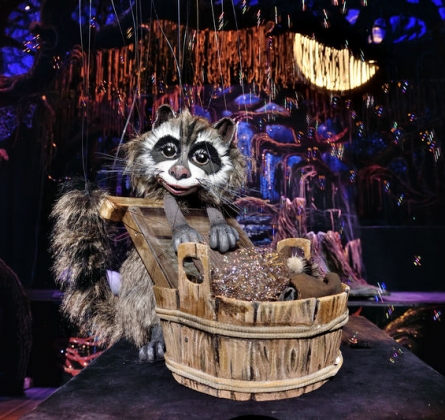 Крошка енот