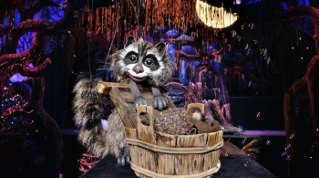 Крошка енот