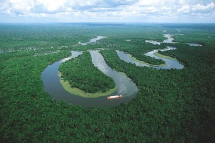 Через 50 лет леса Амазонки могут превратиться в пустыню