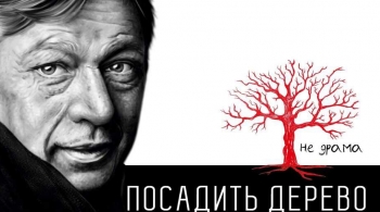 Посадить дерево