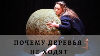 Почему деревья не ходят