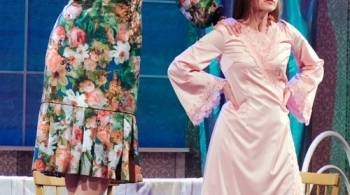 Нелетная погода или брачный сезон у пингвинов