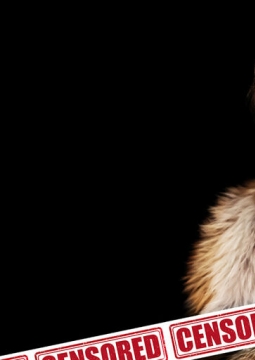 Ночи Кабирии