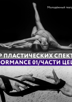 Вечер пластических спектаклей