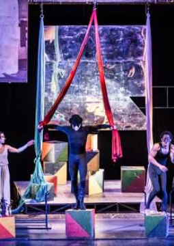 Король-Арлекин