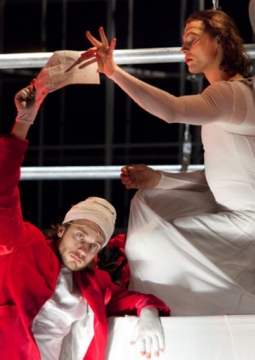 НЕСРАВНЕННАЯ