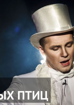 Гнездо перелетных птиц