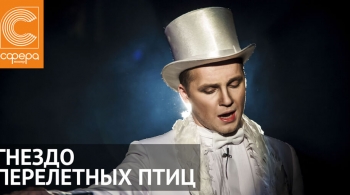 Гнездо перелетных птиц