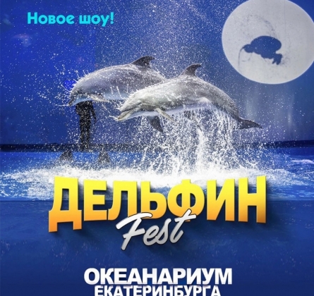 Дельфин Фест | Шоу дельфинов