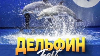 Дельфин Фест | Шоу дельфинов