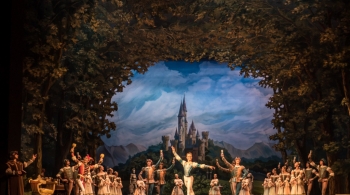 Лебединое озеро